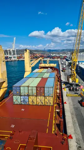 Container vessel and sea freight